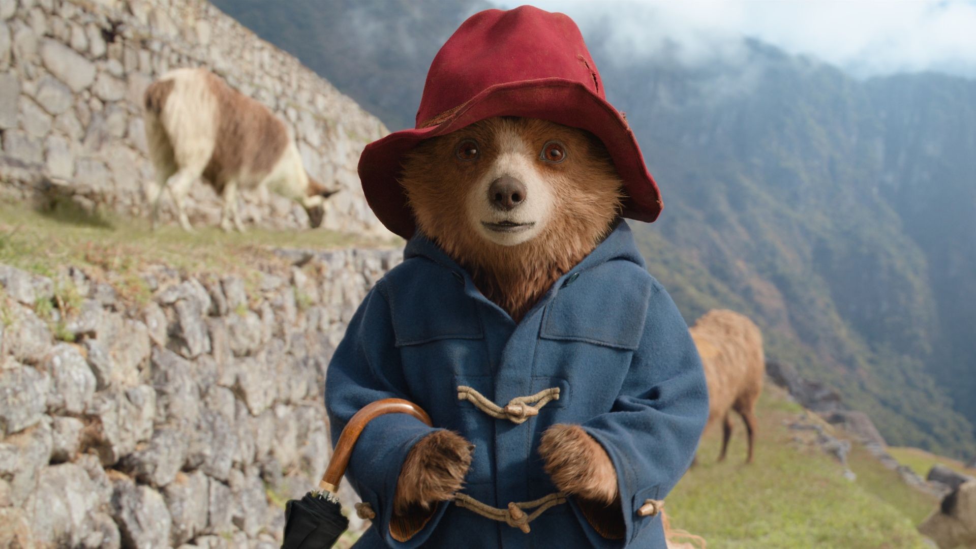 Paddington In Peru Phoenix Leicester Tickets And Times paddington-in-peru-phoenix-leicester-tickets-and-times